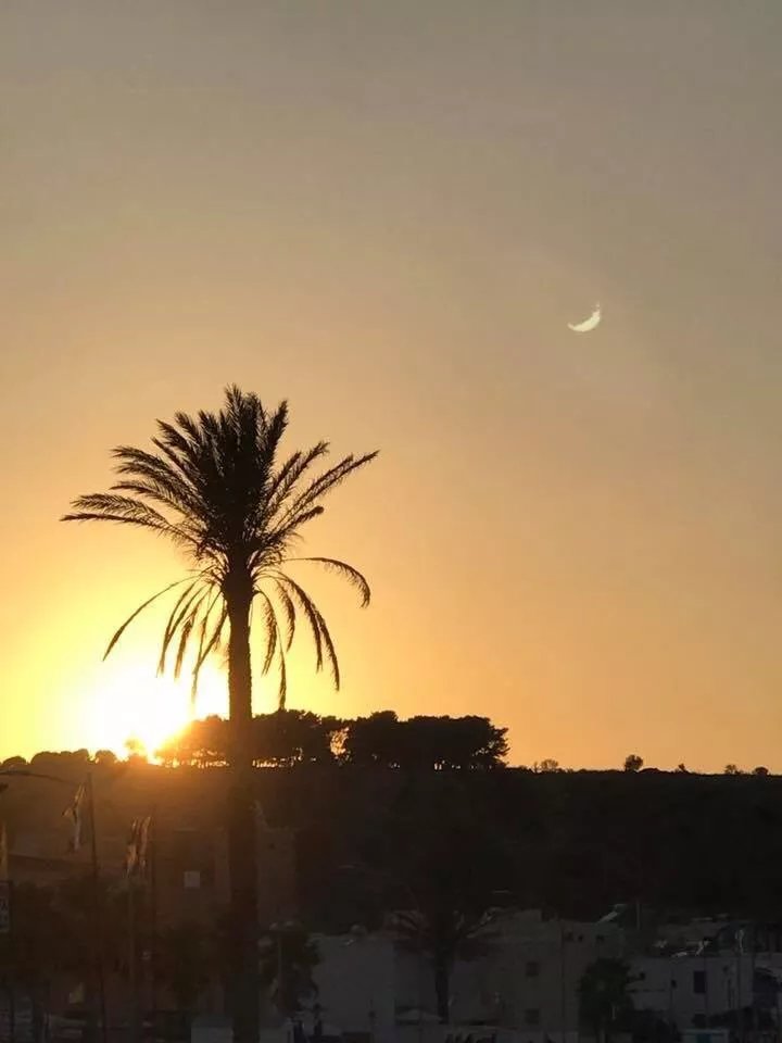 I Giardini di San Vito Lo Capo