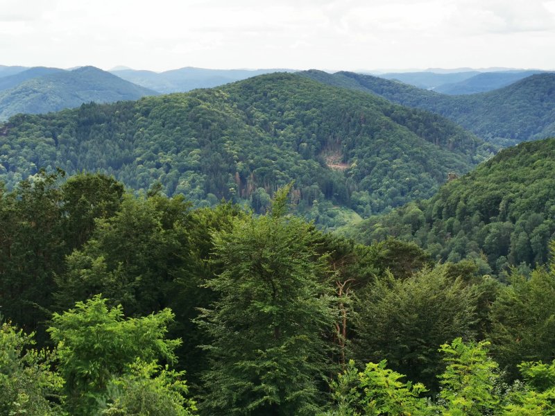 Jung-Pfalz-Hutte