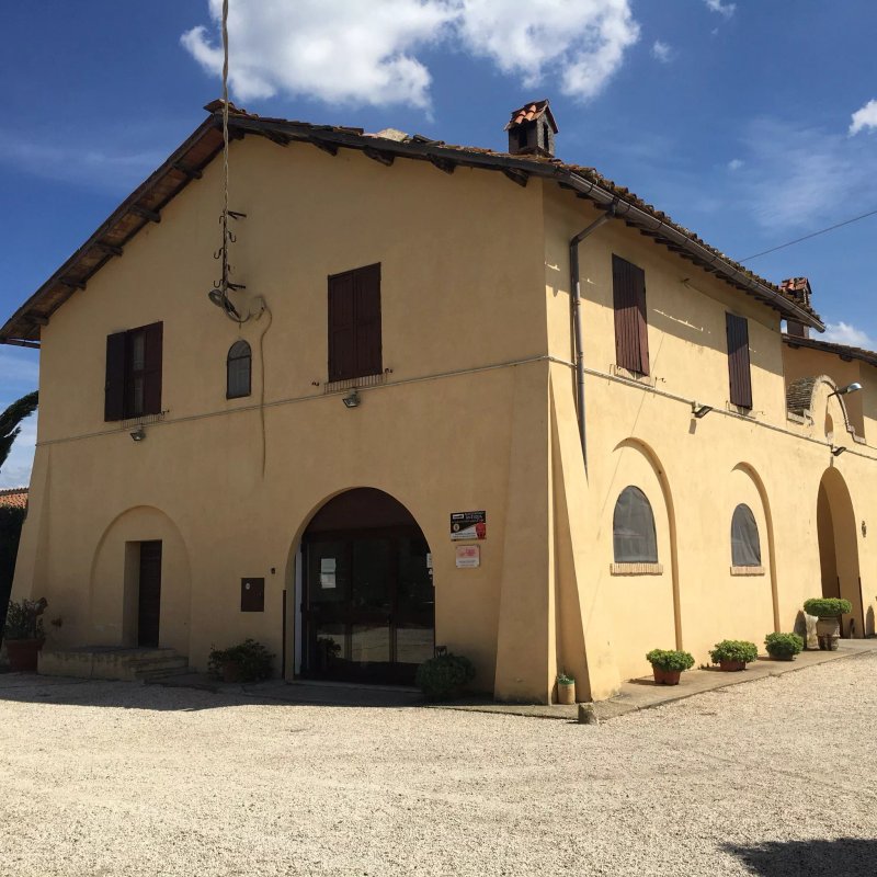 Azienda Agricola ANTIQUA