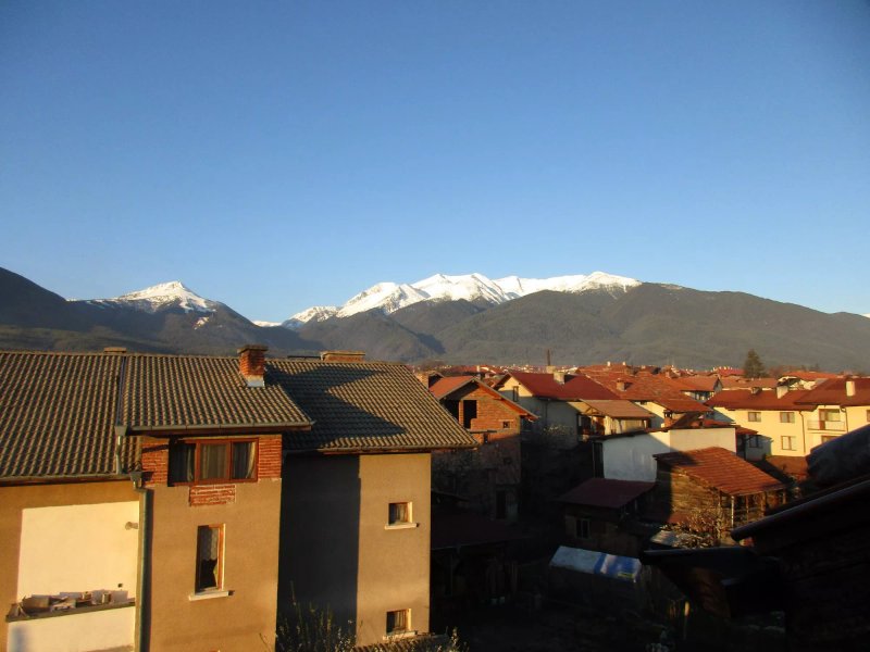 Zigen Guest House