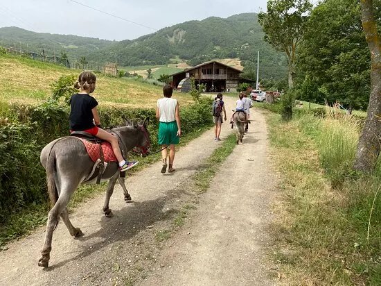 Asineria Di Gombola