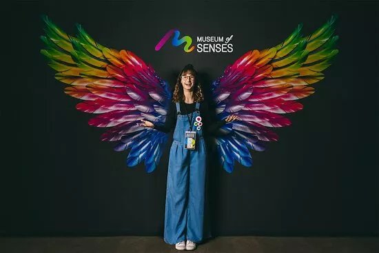 Museum Of Senses