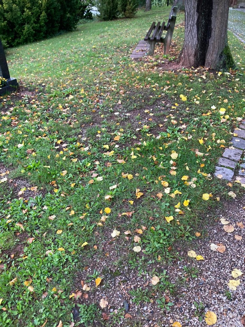 Friedhof Reinsdorf