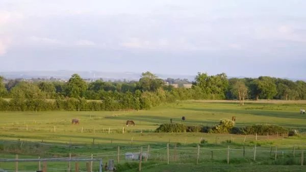 Church Farm
