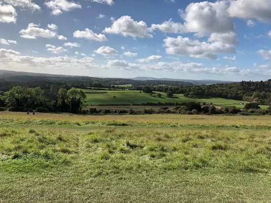 Headley Heath