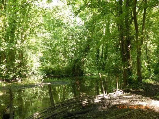 Oare Gunpowder Works Country Park