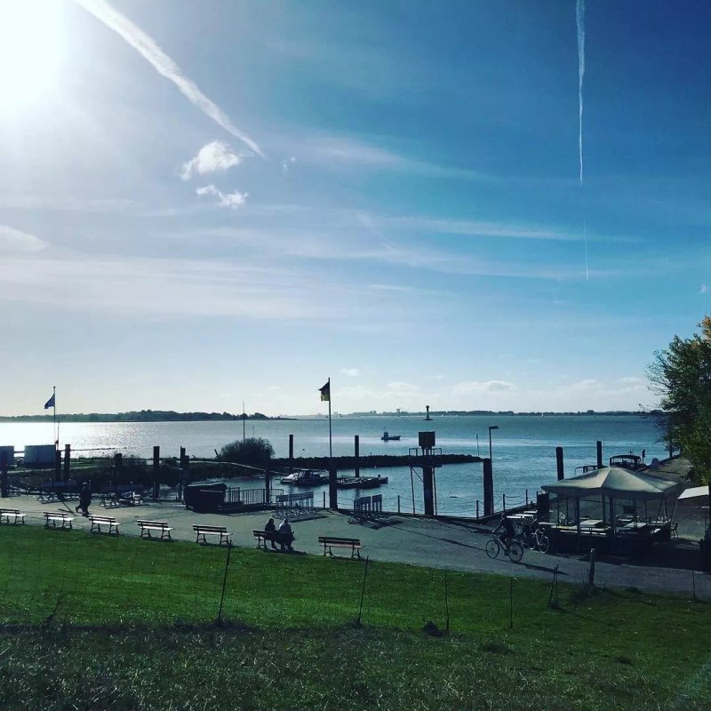 Strandfloh Kollmar