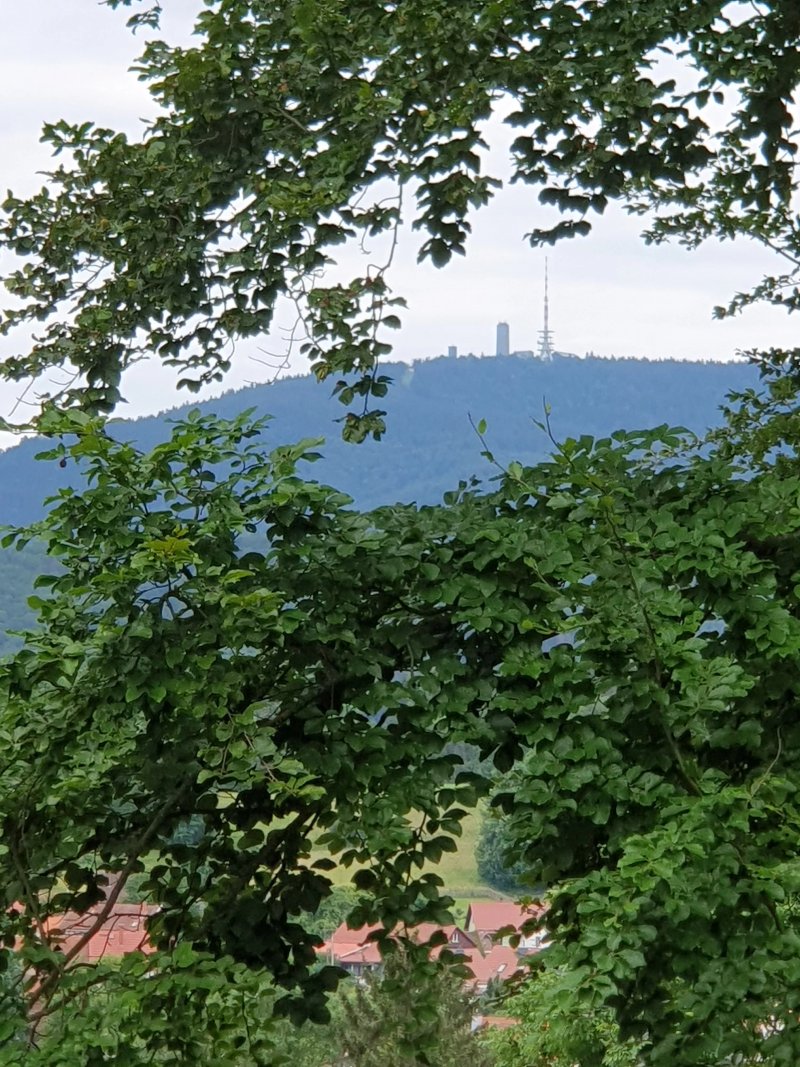 Waldhaus Koehlerhuette