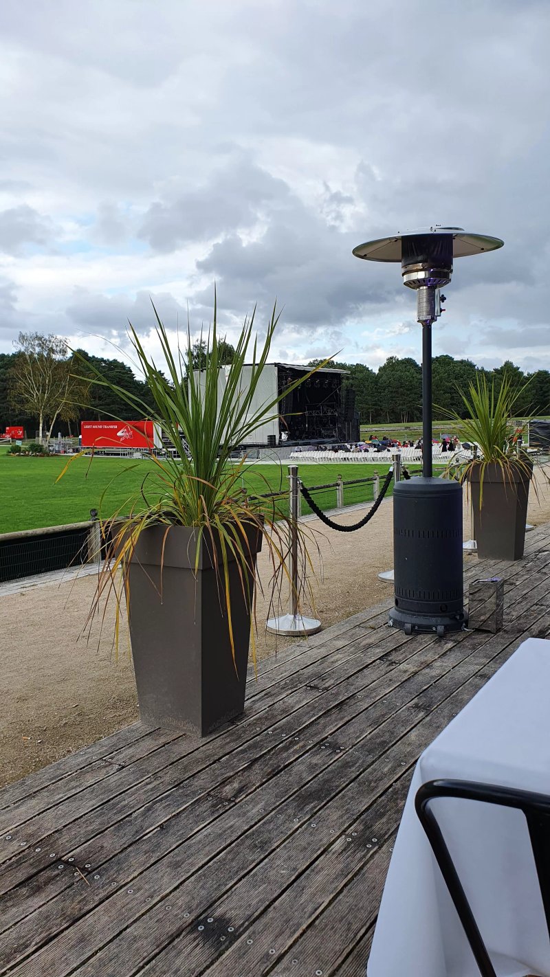 The Dish - Le Restaurant