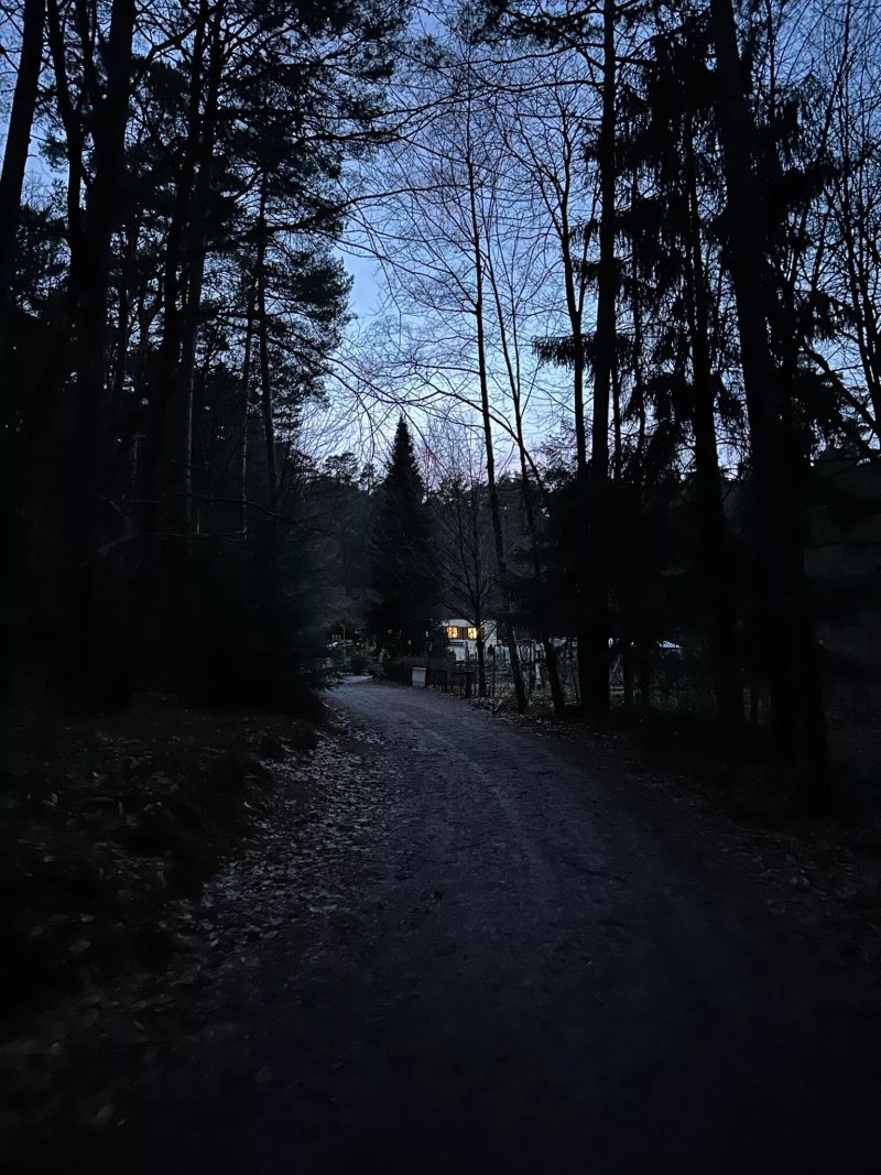 Haus an den Fichten
