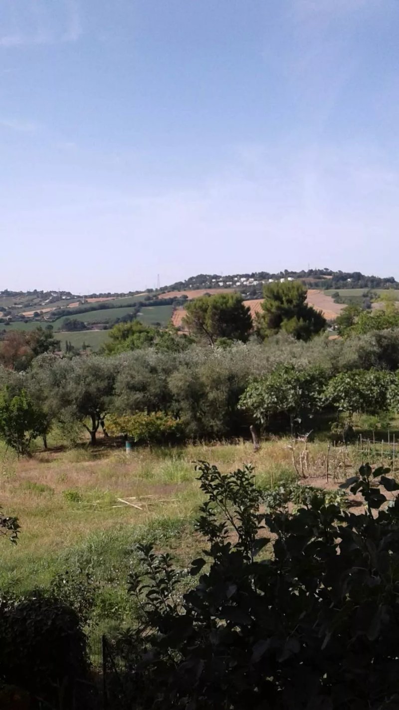 B&B Stelle del Conero