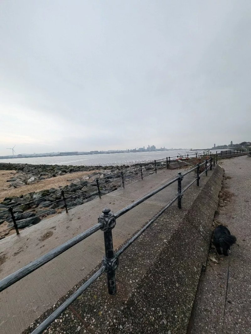 Sea-Quinn Views