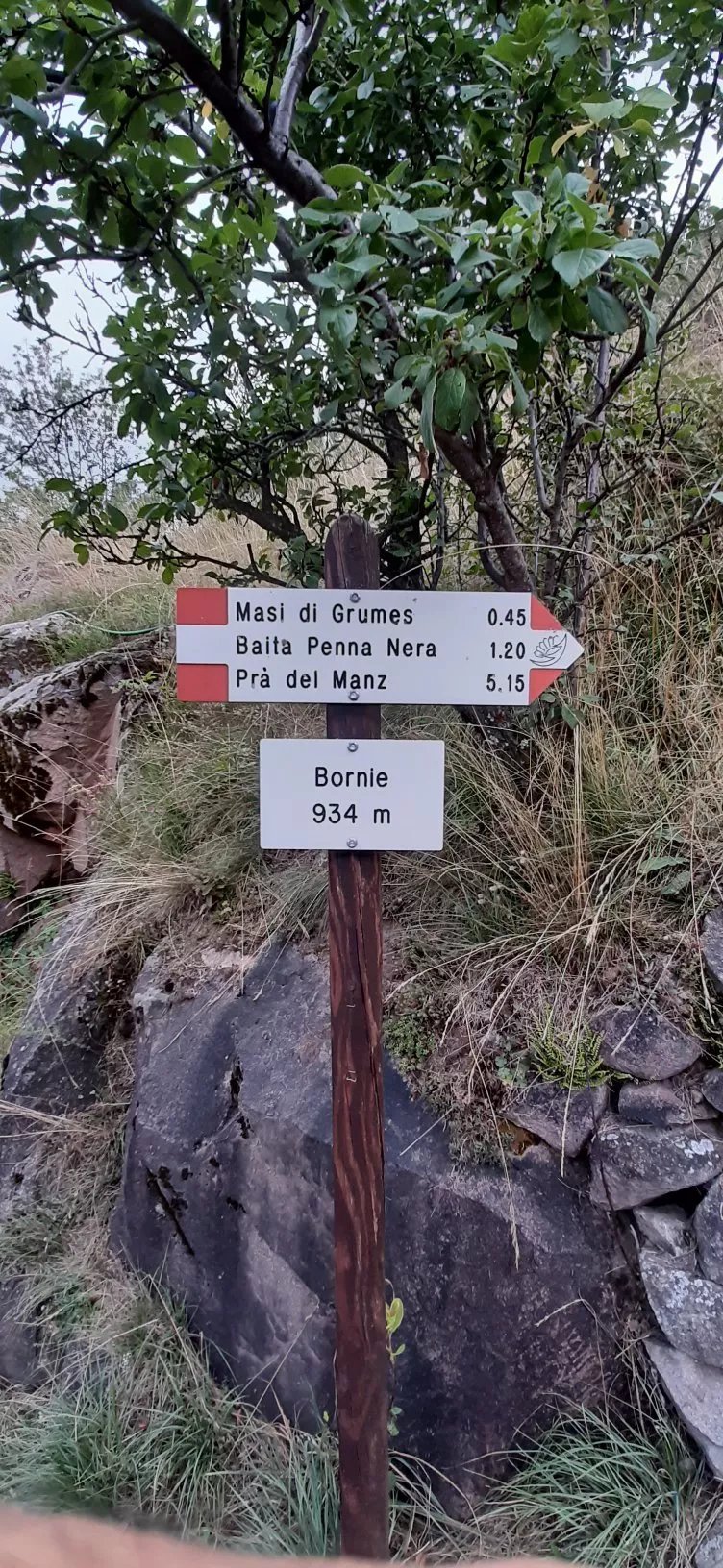 Agritur Maso Bornie