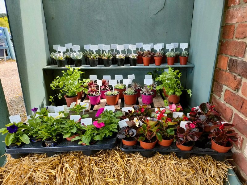 Sunnyside Farm Shop