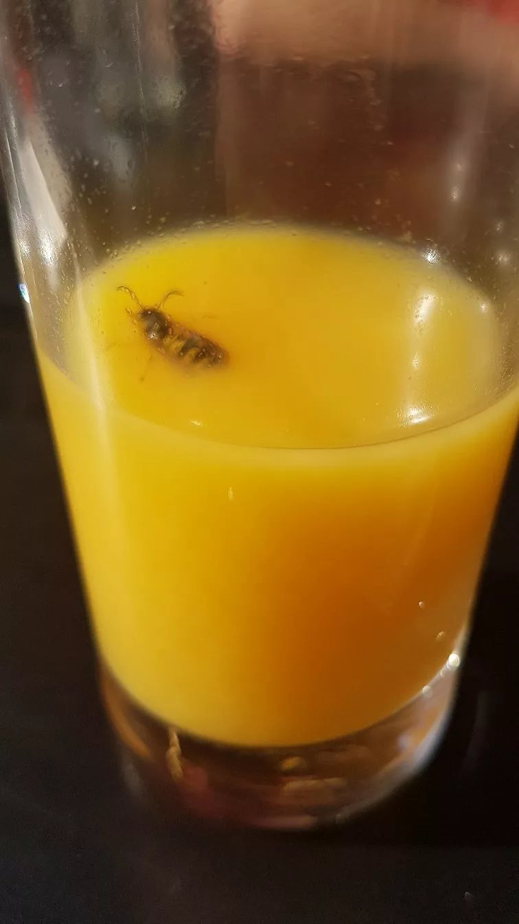 Chez Ma Tante