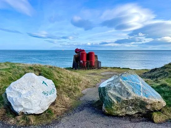 The Torry Coo