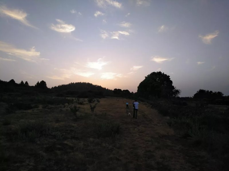 Finca Don Leandro
