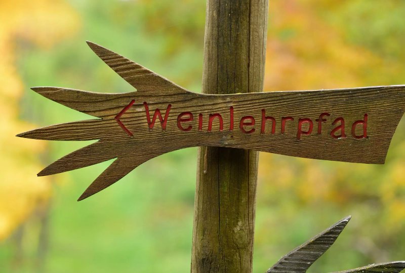 Duft- und Genusswanderung durch den Kurtatscher Weinlehrpfad