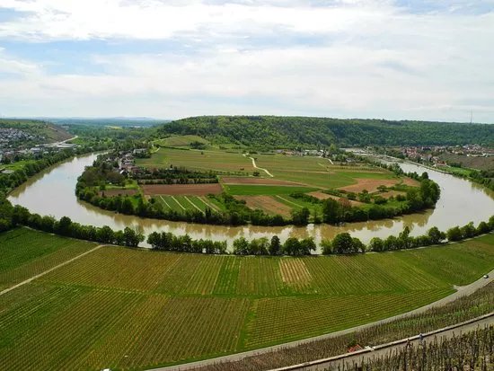 Zur Neckarschleife bei Hessigheim
