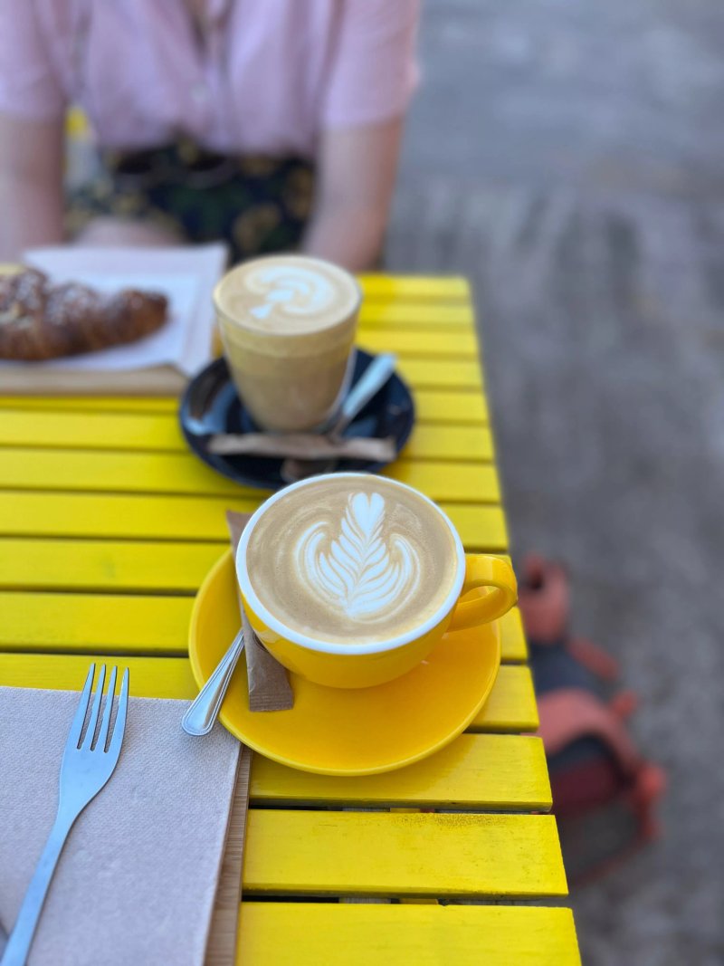 Gato Legal Coffee Roastery