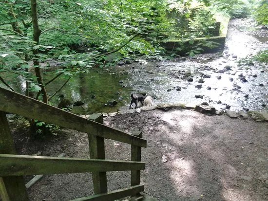 Loggerheads Country Park