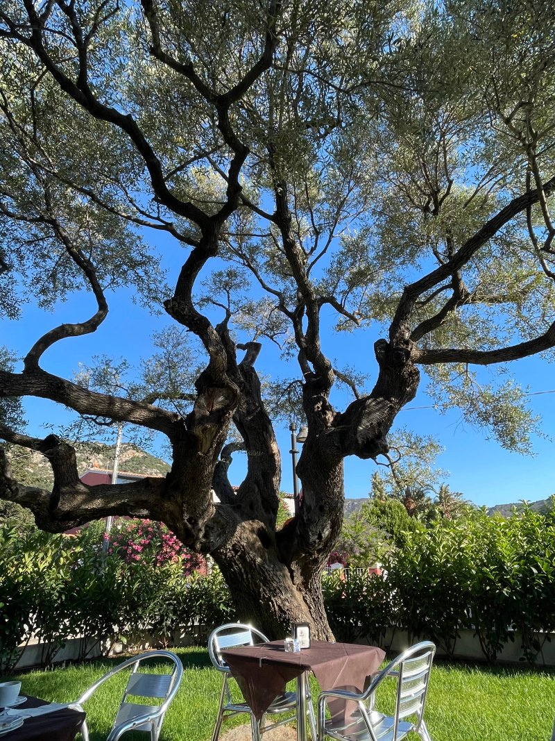 Residenza l’Alzoni