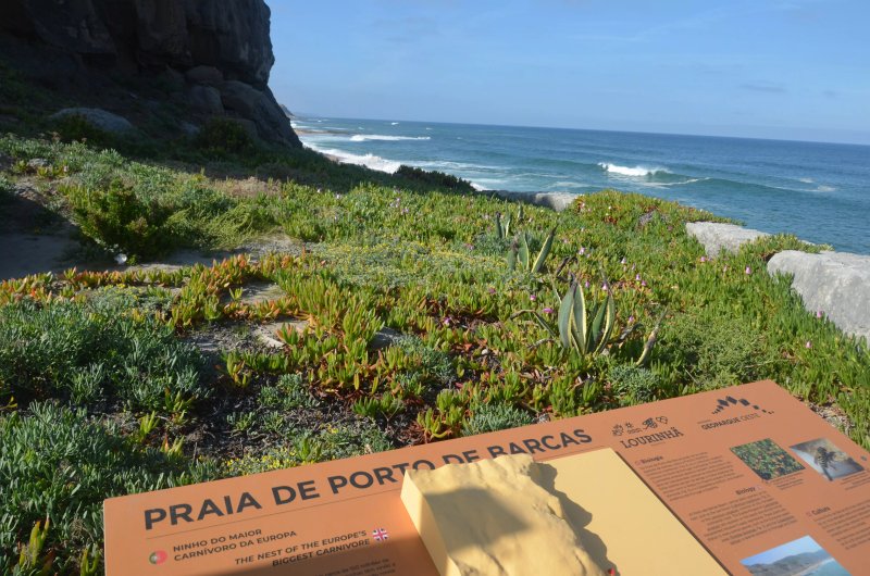 Praia De Porto Das Barcas