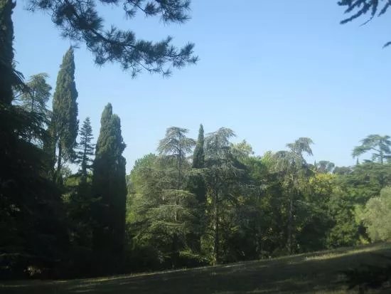 Parco Tozzoni