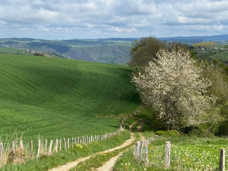 Les Anes de Monedies - Day Tours