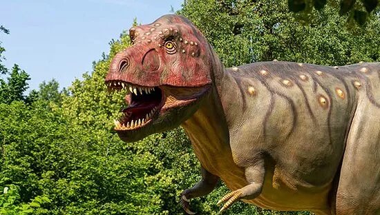 Dinopark Agrarium
