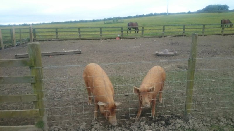 Joined-Up Holidays B&B