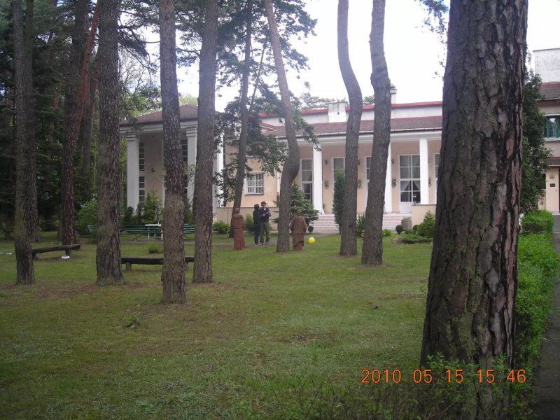 Srodborowianka