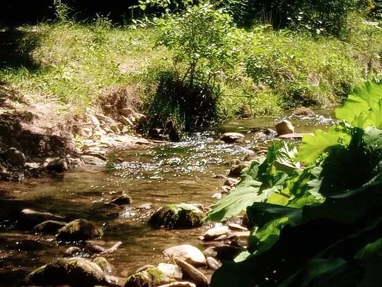 Valle del Chiarino