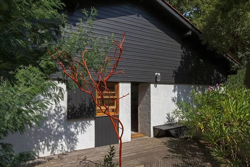 The house in the forest