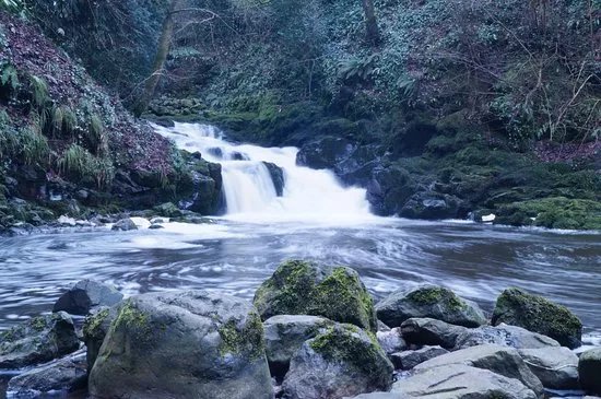 Crumlin Glen