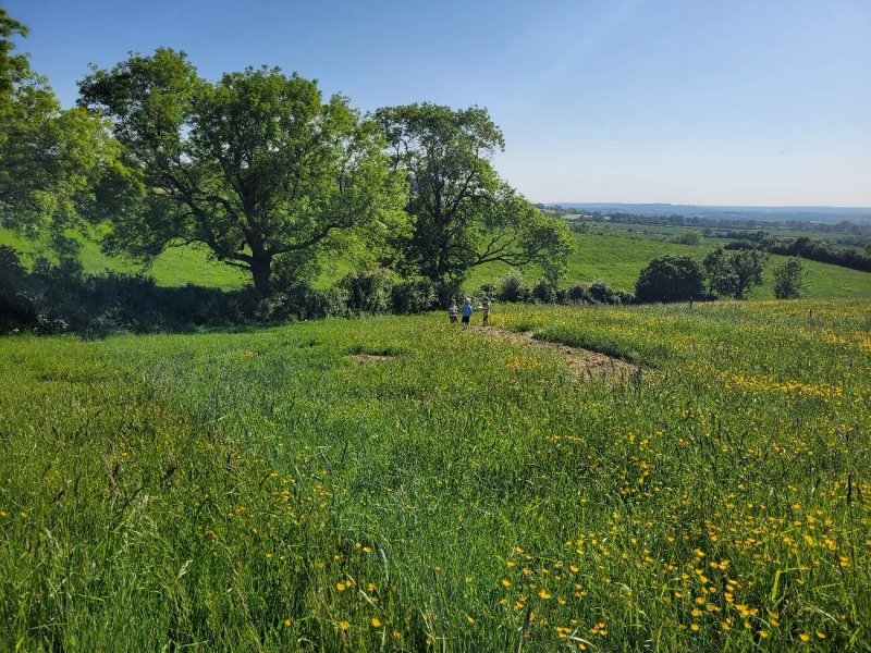 Aylesmore Farm Campsite