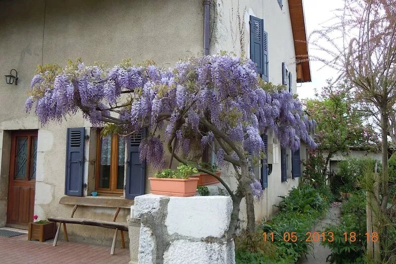 Apartment in an old farmhouse