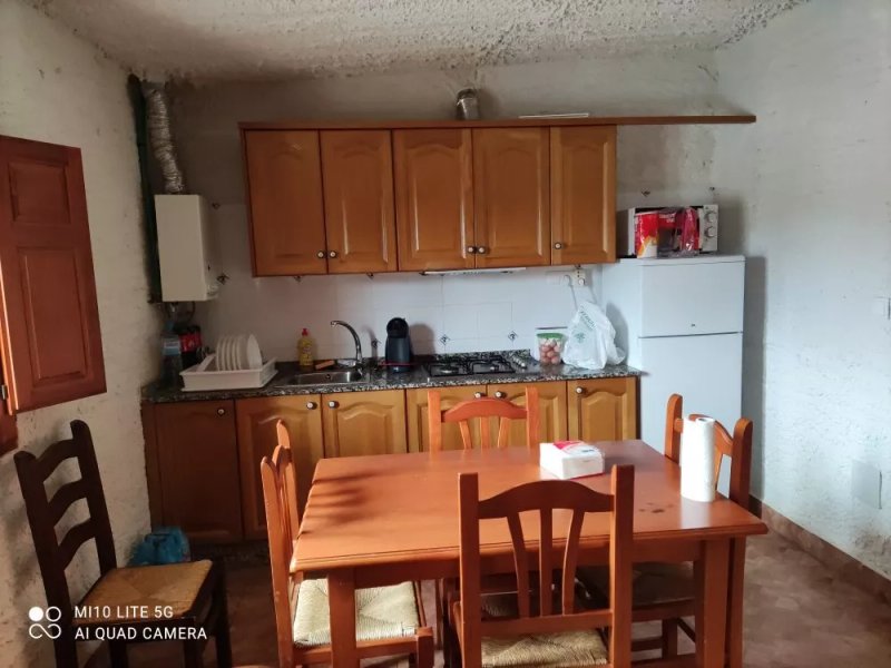 Casas y Cuevas El Solins Country House
