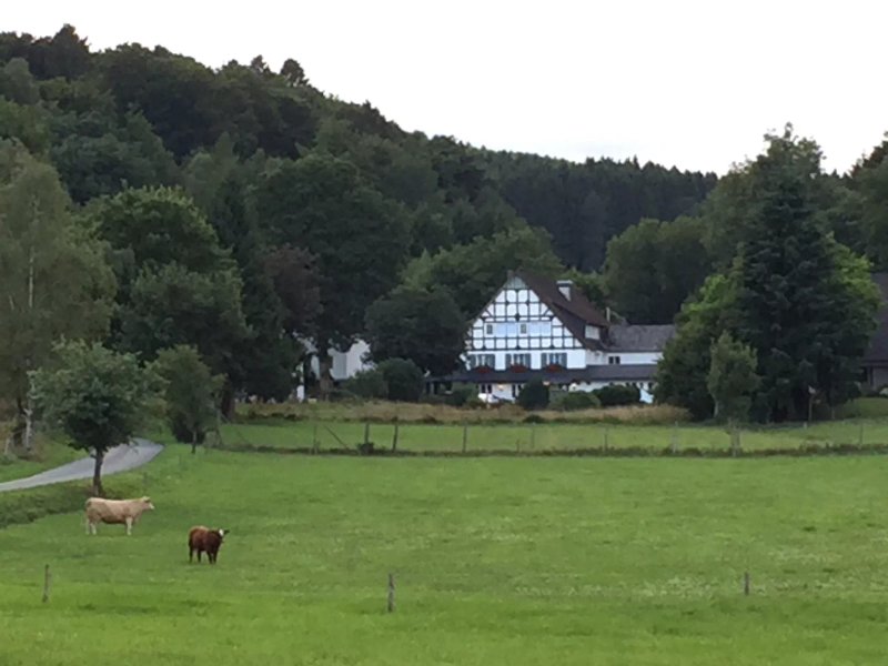 Landhotel Halbfas-alterauge