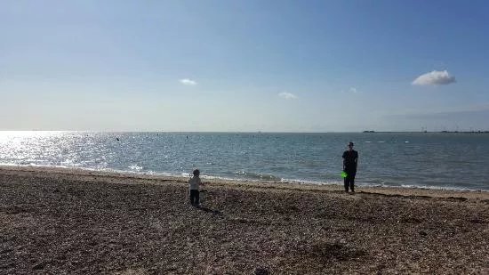Mersea Island Vineyard