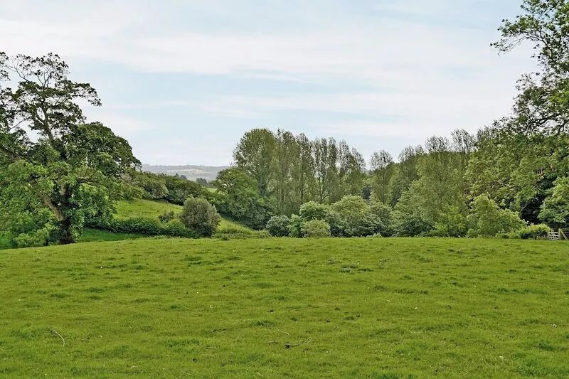 Blackberie Cottage - E2389