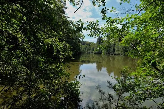 Lanzenbrunnerweiher