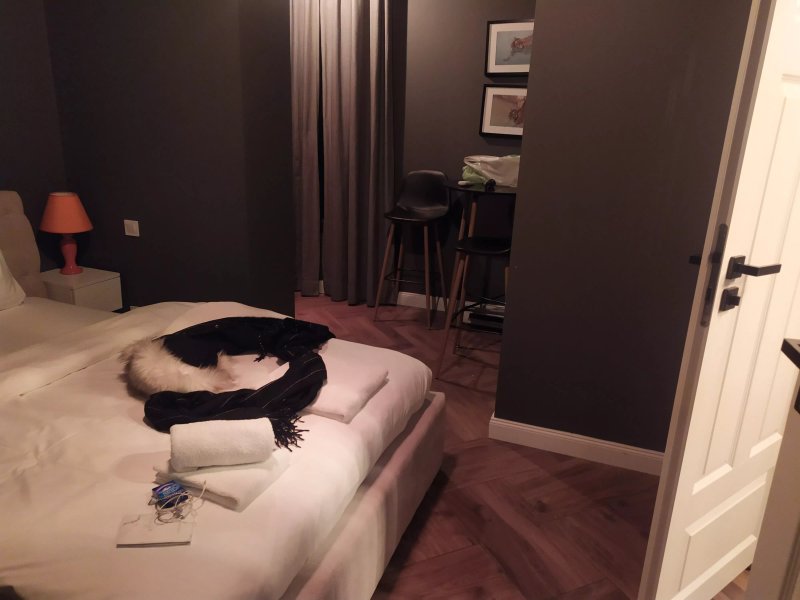 W1 Katowice