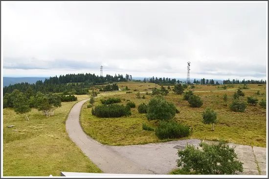 Hornisgrindenturm