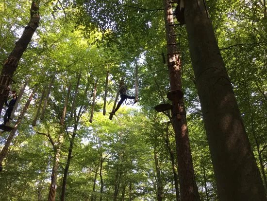 Wald-Abenteuer Bad Neuenahr