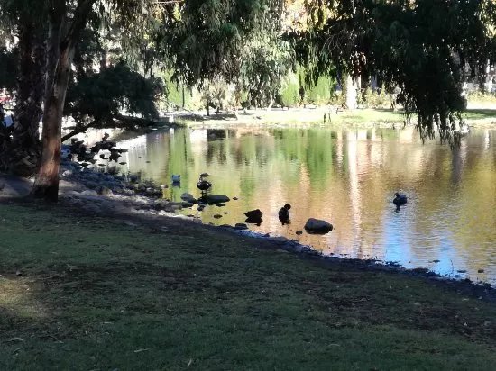 Jardin de La Seda