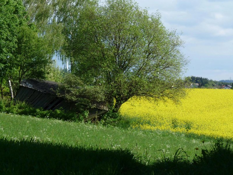 Gaststatte Friedrichsruh