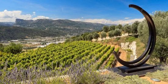 French Riviera Wine Tours