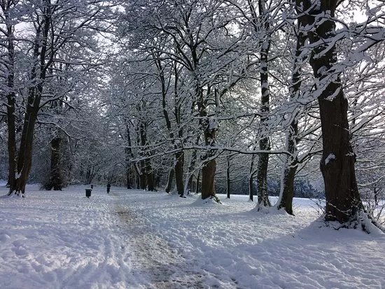 Dorridge Park