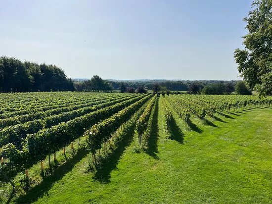 Bluestone Vineyards